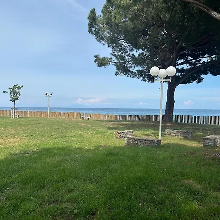 Studio Meuble Bord De Plage *